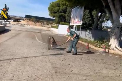 2025 11 891914156.png