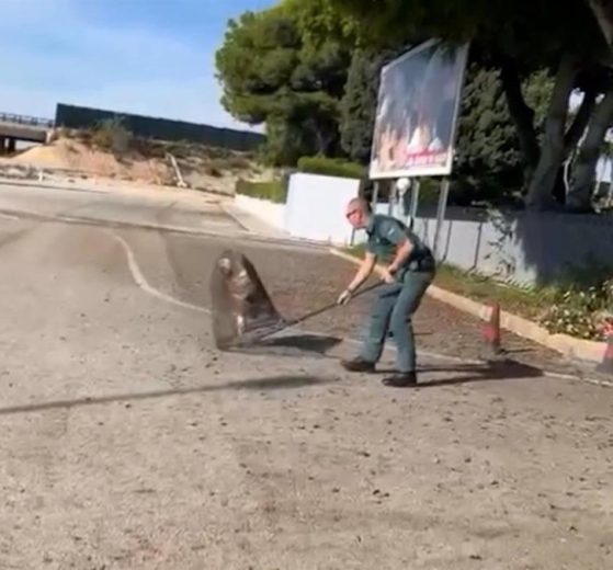 2025 11 891914156.png