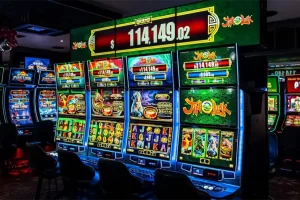 2025 11 892120629.png