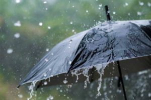 2025 11 892407136.png