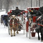 2025 11 893269709.png