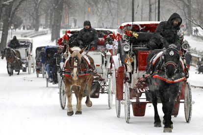 2025 11 893269709.png