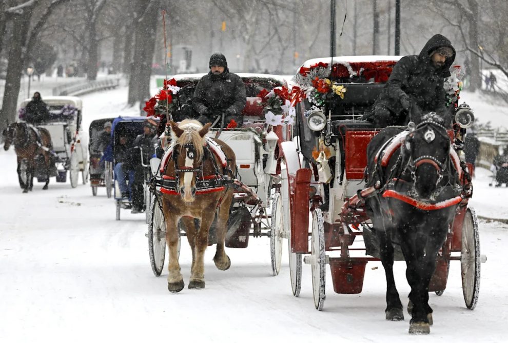 2025 11 893269709.png