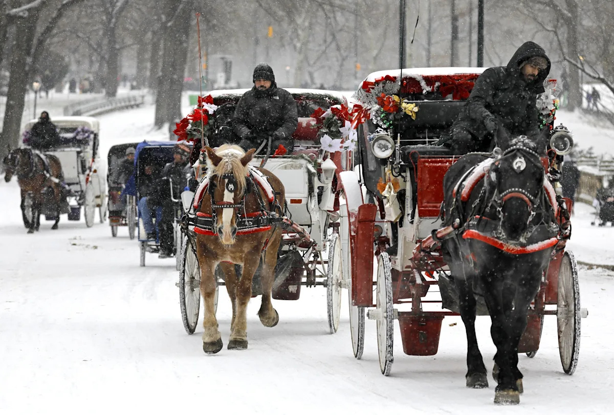 2025 11 893269709.png