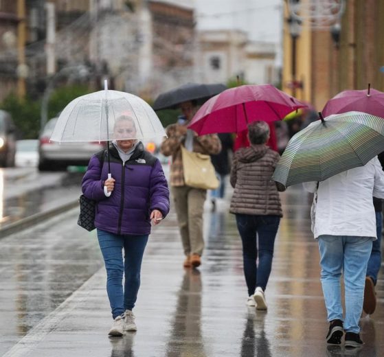 2025 11 893690333 1.png