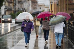 2025 11 893690333.png