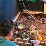 2025 11 894174339.png