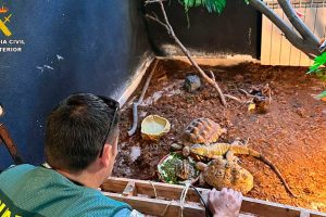 2025 11 894174339.png