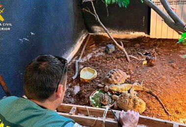 2025 11 894174339.png