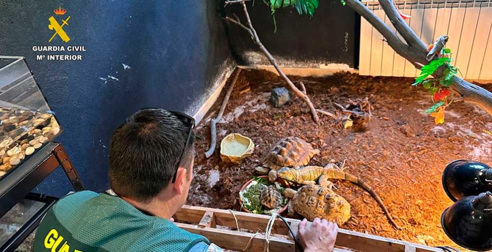 2025 11 894174339.png