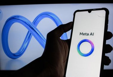 2025 11 896929877.png