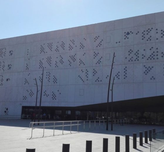 2025 11 900055401.png