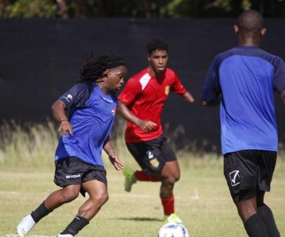 2025 11 900676295 2.png