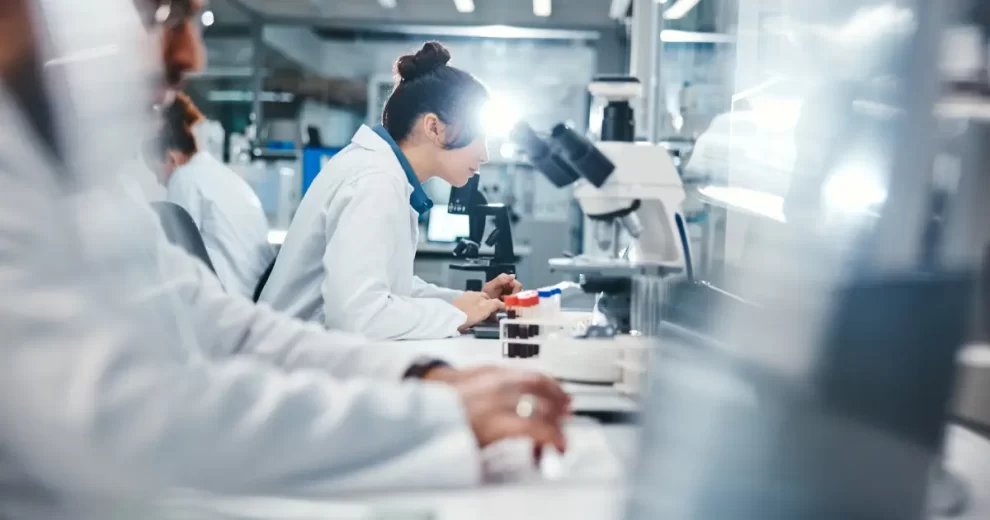 2025 11 901439307 2.png