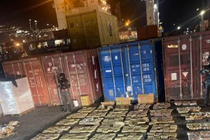 2025 11 902935884.png