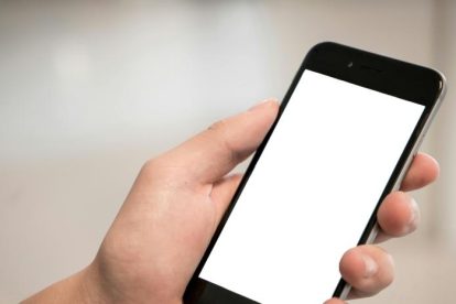 2025 11 903761426.png