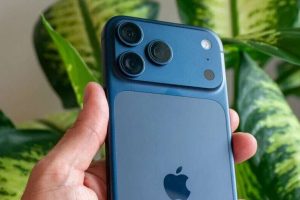 2025 11 905083452.png