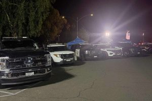 2025 11 905636732.png