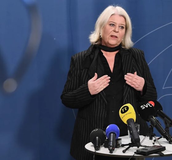 2025 11 907747573.png