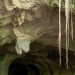 2025 11 907948752.png