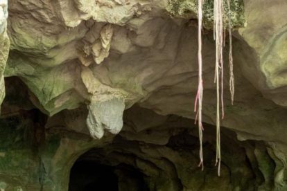 2025 11 907948752.png