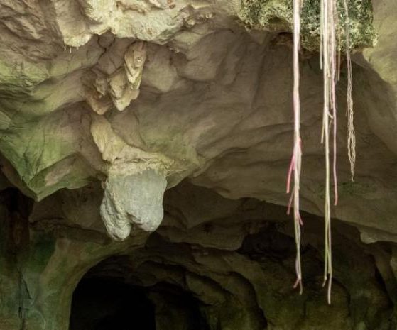 2025 11 907948752.png