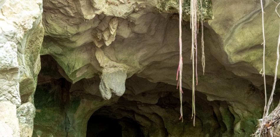 2025 11 907948752.png