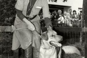 2025 12 909352680.png