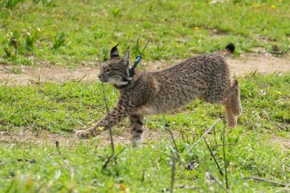 2025 12 916242434.png