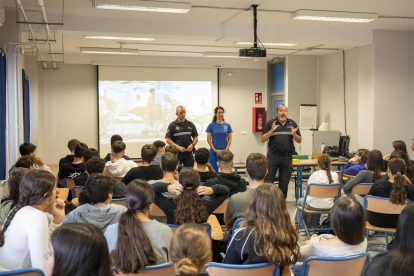 2025 12 917432766.png