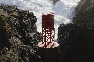 2025 12 918770435.png