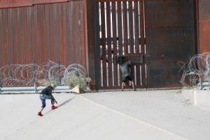 2025 12 922146581 1.png