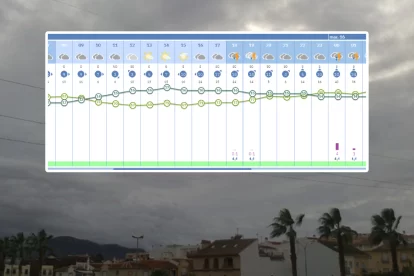 2025 12 922859000.png