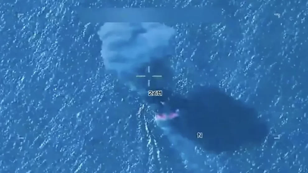 2025 12 924342983.png