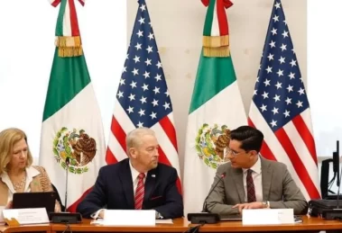 2025 12 925045551.png