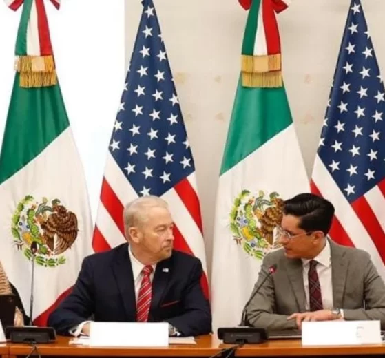 2025 12 925045551.png