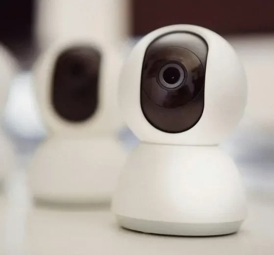 2025 12 925068996 1.png