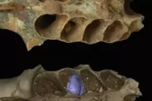 2025 12 926102841.png