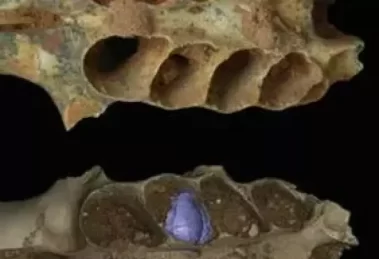 2025 12 926102841.png