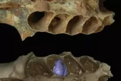 2025 12 926102841.png