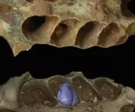 2025 12 926102841.png