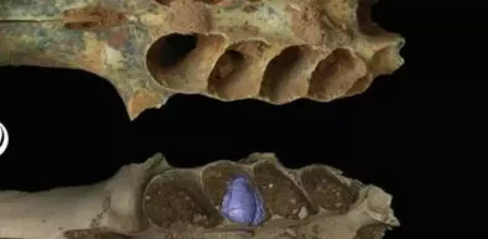 2025 12 926102841.png