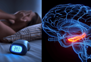 2025 12 926102844.png