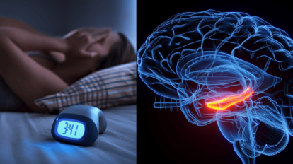 2025 12 926102844.png