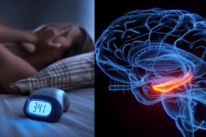 2025 12 926102844.png