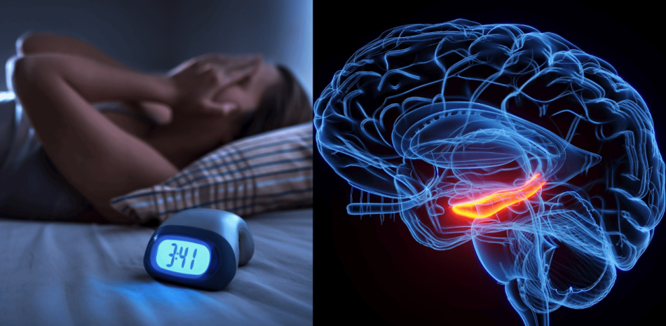 2025 12 926102844.png