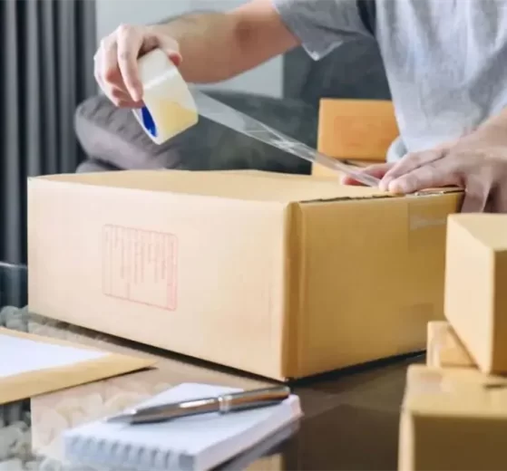 2025 12 930413551.png