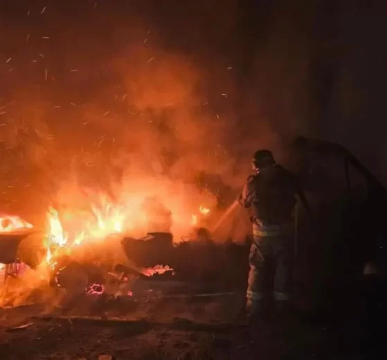 2025 12 931315163.png