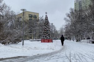 2025 12 933905019.png