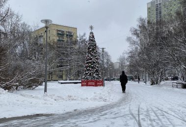 2025 12 933905019.png